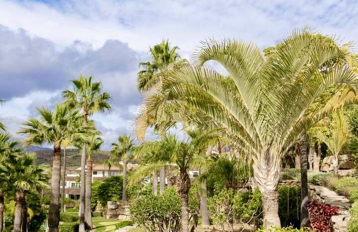 Fabulous terrace and garden space in a corner of paradise!