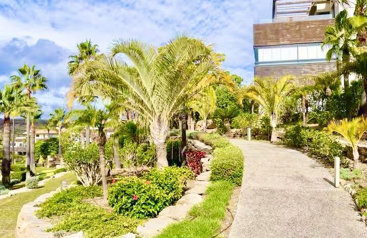 Fabulous terrace and garden space in a corner of paradise!